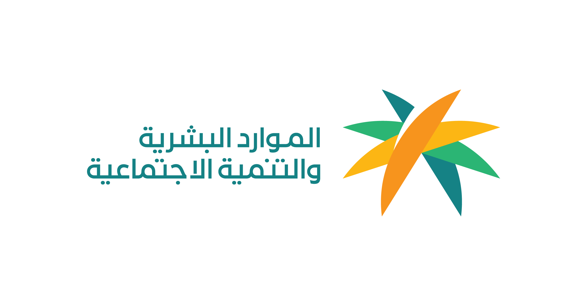 شريك 13